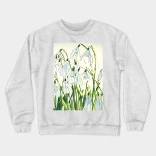 Snowdrops watercolour painting Crewneck Sweatshirt